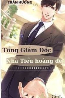 tổng giám đốc nhà tiểu hoàng đế