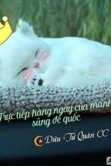 trực tiếp hàng ngày của manh sủng đế quốc