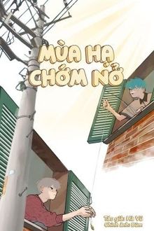 mùa hạ chớm nở