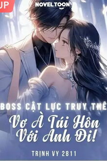 boss cật lực truy thê: vợ à tái hôn với anh đi!