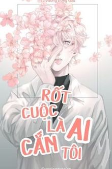 rốt cuộc là ai cắn tôi