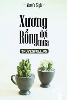 xương rồng đợi mưa