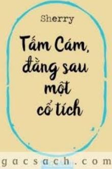 tấm cám, đằng sau một cổ tích