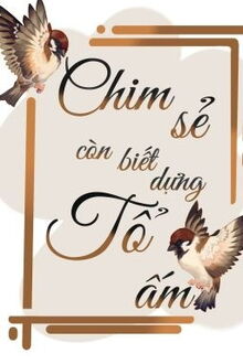 chim sẻ còn biết dựng tổ ấm