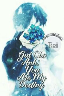 gửi cho anh: you are my destiny