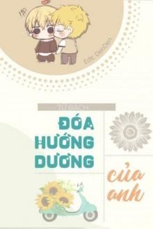 đóa hướng dương của anh