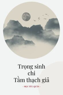 trọng sinh chi tầm thạch giả