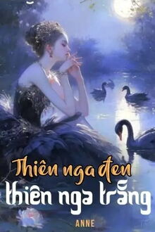 thiên nga đen thiên nga trắng