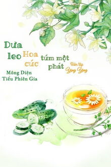 dưa leo hoa cúc túm một phát