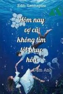 hôm nay vợ trước cũng không tìm ta phục hôn