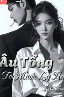 âu tổng tôi muốn ly hôn