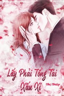 lấy phải tổng tài xấu xí