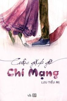 cuộc gặp gỡ chí mạng