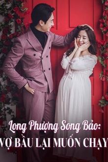 long phượng song bảo: vợ bầu lại muốn chạy