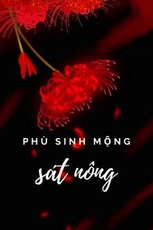 phù sinh mộng sát nông