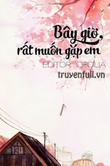 bây giờ rất muốn gặp em