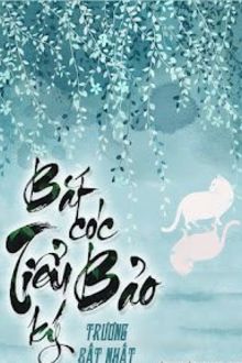 bắt cóc tiểu bảo ký