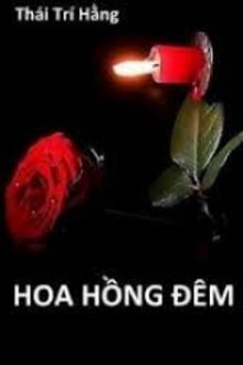 hoa hồng đêm