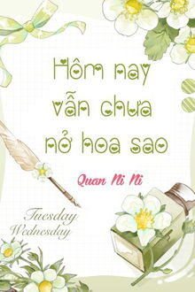 hôm nay vẫn chưa nở hoa sao