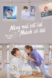 nắng mai sót lại nhành cỏ dại