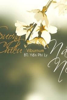 sương chiều não nề