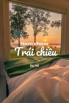 nam châm trái chiều