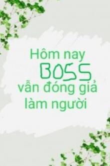 hôm nay boss vẫn đóng giả làm người