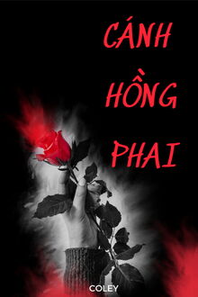 cánh hồng phai