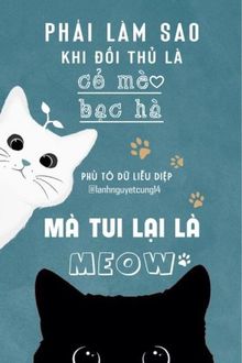 phải làm sao khi đối thủ một mất một còn là cỏ mèo bạc hà mà tui lại là mèo