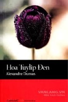 hoa tulip đen