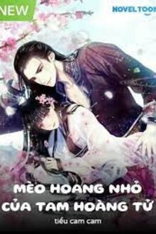 mèo hoang nhỏ của tam hoàng tử