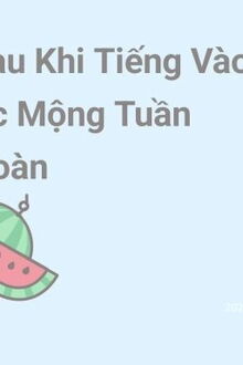 sau khi nhóc mít ướt tiến vào ác mộng tuần hoàn