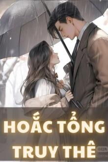 hoắc tổng truy thê